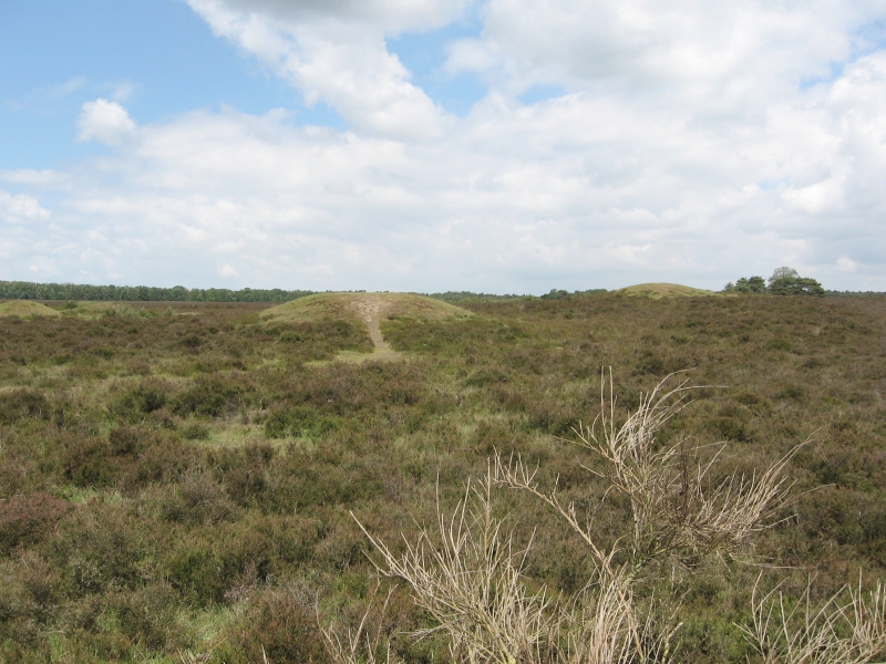 Zuiderheide